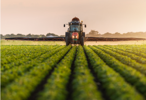 Fertilizer