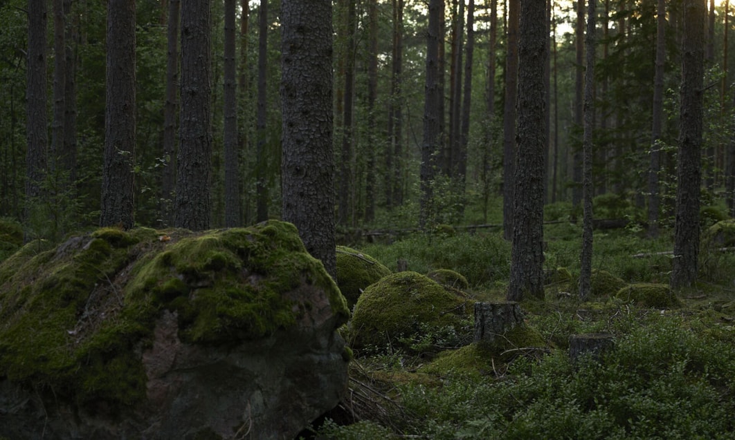 Branschledande inom hållbarhet