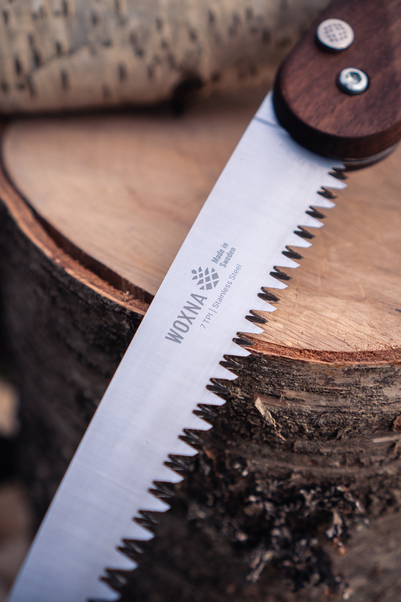 A saw laying on a log in the forest