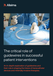 Whitepaper cover showing surgeon holding a flexible instrument