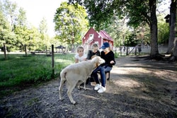a group of kids petting a goat