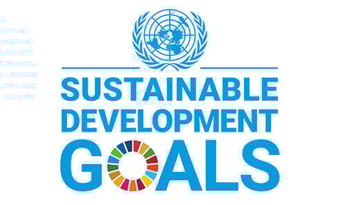 UN Sustainable Development Goals