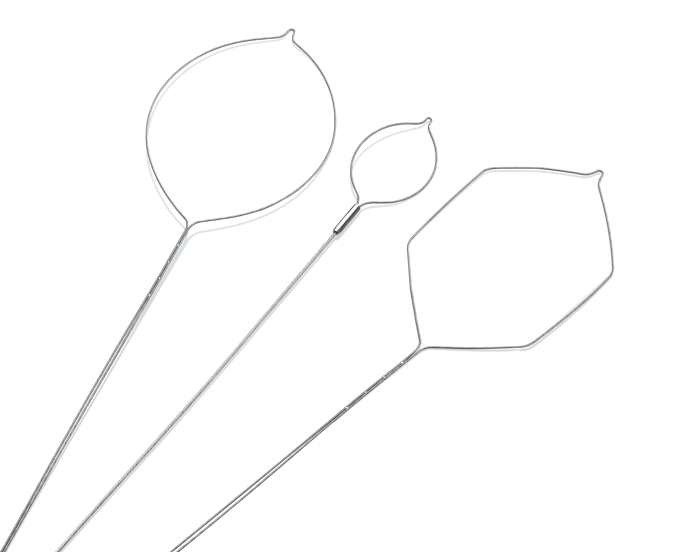 en grupp av objekt med blad